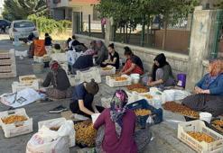 Malatya'da kasa başına 150 TL kazanıyorlardı: Ceza kapılarına kadar geldi