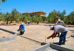 Doğayla iç içe yeni sosyal alan: Didim’e Zeytin Park geliyor