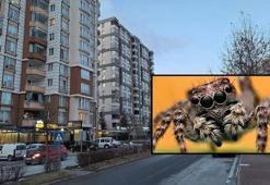 Kayseri'de apartmanlara özel hizmet: Şikayetler artınca ücretli çözüm geldi