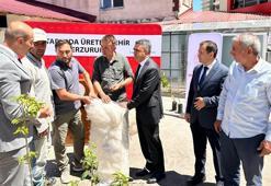 Erzurum'da bin adet meyve fidanı ve sera desteği ücretsiz dağıtıldı!