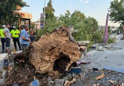 İstanbul’da kısa süreli etkili olan fırtına hasara yol açtı