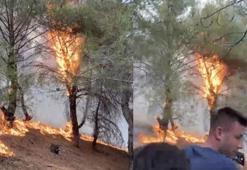 Kırsal alanda çıkan orman yangını kontrol altına alındı