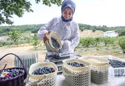 Bursalı 18 kadın üretiyor, İngiltere'den sipariş yağıyor! 850 metre rakımda dev başarı