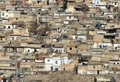 Şanlıurfa’nın göbeğinde sır! Gecekonduların altından 'ölüler şehri' ortaya çıktı!