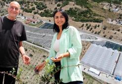 Yurt dışındaki işini bırakıp İzmir'e yerleştiler! Boş araziyi üretim üssüne çevirip servet değerinde ürün yetiştiriyorlar