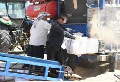Tarlalarda bırakılanlar onlar için ekmek kapısı oldu! 6 ay çalışıp Türkiye'nin dört bir yanına satıyorlar