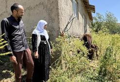 İneği telef olunca gözyaşları sel olmuştu! Kaymakam ve hayırseverler harekete geçti, dört bir yandan destek yağdı!