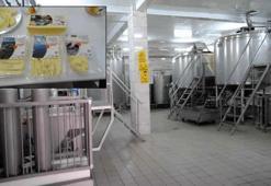 Günlük 5 ton üretimi var Eskişehir'deki tesiste hayaller gerçek oldu