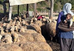 Kentin ekonomik can damarı! Erzincan’ın tescilli lezzeti mercek altında
