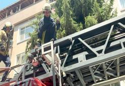 Avcılar'da mahsur kaldı: Güvercin hayata itfaiye ile tutundu