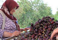 Aroma farkı dev pazarların kapısını açtı: Eşsiz lezzet dünya markası oldu