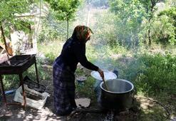 Güneş ışığıyla gelen doğal şifa! Erzincan'da asırlık lezzet için mesai başladı