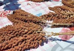 İlk kez denedi, beklediğinden fazlasını aldı! Alternatif ürün yüzünü güldürdü