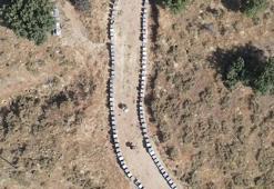 Şifa deposu üründe beklenen gün geldi! Sezonun ilk ürünü hasat edildi: Piyasada kapış kapış gidiyor