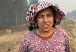 Aydın Çine'de orman yangını büyüyor! 30 ev tahliye edildi, hayvanlar taşındı!