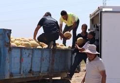 Hatay Büyükşehir'den çiftçiye ve vatandaşa dev destek: 100 ton kavun ücretsiz dağıtıldı!