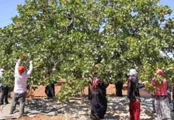 Binlerce işçiyi ilgilendiriyor: Günlük ücret belli oldu
