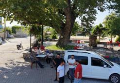 260 yıllık mahallenin simgesi yaz sıcağında doğal klima oluyor