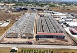 Erzincan’a 100 milyon dolarlık dev yatırım: 6 fabrika kuruluyor, 1000 kişiye iş imkânı!