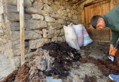 Kavurucu sıcaklar küçükbaş hayvanlarda kırkım mesaisini başlattı