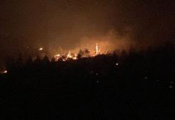 Çanakkale Ezine’de otlukta çıkan yangın ormana sıçradı