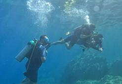 Dünyaca ünlü turizm merkezine hayat veren su altı dünyası!