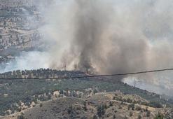 Adıyaman'ın Gerger ilçesinde orman yangını yangın çıktı