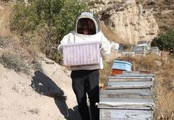 Nevşehir'de memur, mesai sonrası yapıyor! 136 tane var, 600 kilo çıkıyor: Avrupa'ya koli koli satıyor