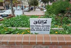 Araştırma yapanları hayrete düşüren kabir: Konya'da taşınırken iş makineleri bozuldu