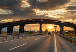 Erzincan'da hayvanlara özel üst geçit: Alternatif güzergah oldu