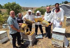 8 yıldır Karadeniz'de gizli bir şekilde yürütülüyordu, şimdi sonuçlarını vermeye başladı! Verimi katlayacak projede devrim gibi sonuç