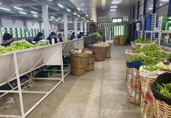Avrupa sofralarının tercihi Bursa ürünleri! Yoğun talep var