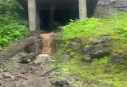 Şiddetli yağışlar Rize'de heyelan ve su taşkınlarına neden oldu