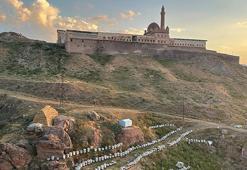 İshak Paşa Sarayı’nın Eteklerinde altın hasadı yapılıyor: Turistler fotoğraf çektirmek için yarışıyor!