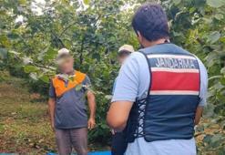 Fındık tarlalarında 7 gün 24 saat jandarma nöbeti