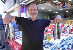 Yıllardır böylesi görülmedi! Karadeniz'den palamut fışkırıyor
