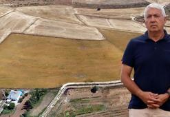 Vücut sağlığını iyileştiriyor, kalp hastalıklarını azaltıyor! Emekli olunca Kayseri'de aspir ekimine başladı