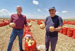Tarlada kilosu 15 lira sofraya gelene kadar 60 lirayı buluyor! Yazlık soğan üreticisinin yüzünü güldürüyor