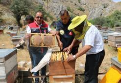 Erzincan’da bal hasadı başladı! Bin 500 ton rekolte bekleniyor