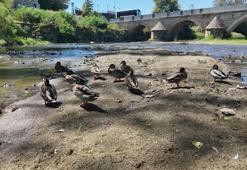 Edirne'de alarm veren kuraklık: Tunca Nehri'nin debisi 4 metreküpe düştü