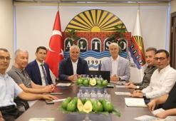 Alanya avokadosu dünyaya açılıyor: Avrupa Birliği Coğrafi İşaret için resmi başvuru yapıldı!