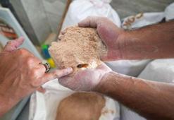 Mersin'de şoke eden görüntüler: Un fabrikasında 30 ton böceklenmiş bozuk un ele geçirildi