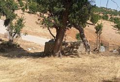Bingöl'de tepeye gömüldü, köyün kaderi değişti! 300 yıllık gizem: Yapmadığımız sene felaket yaşandı
