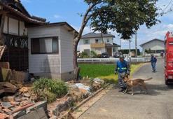 Japonya'nın Toride kentinde 5,8 büyüklüğünde deprem meydana geldi