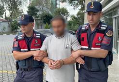Ayva dalı cinayetinde akıllara gelmeyecek gelişme! 'İneğin memesi' davanın seyrini değiştirecek