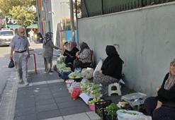 Bu ürünün makbulü küçük olması! Ne kadar ufaksa fiyatı o kadar yüksek