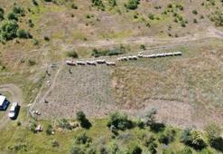 Kastamonu'da hasat bitti! Verim düştü, kilosu 1500 liradan satılıyor