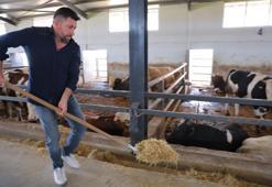 Müşterisinin elektrik işini yaparken hayvancılığa başladı! Hayatı tamamen değişti, 200 hayvanla dev çiftlik sahibi oldu!