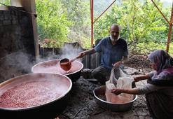 Dalında 100 TL, kazana girince 1000 TL! Kozan'da 'kızıl altın' mesaisi başladı