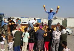 Hataylı üretici tanesini 5 TL satmak istemedi, 50 ton ürünü bedava dağıttı